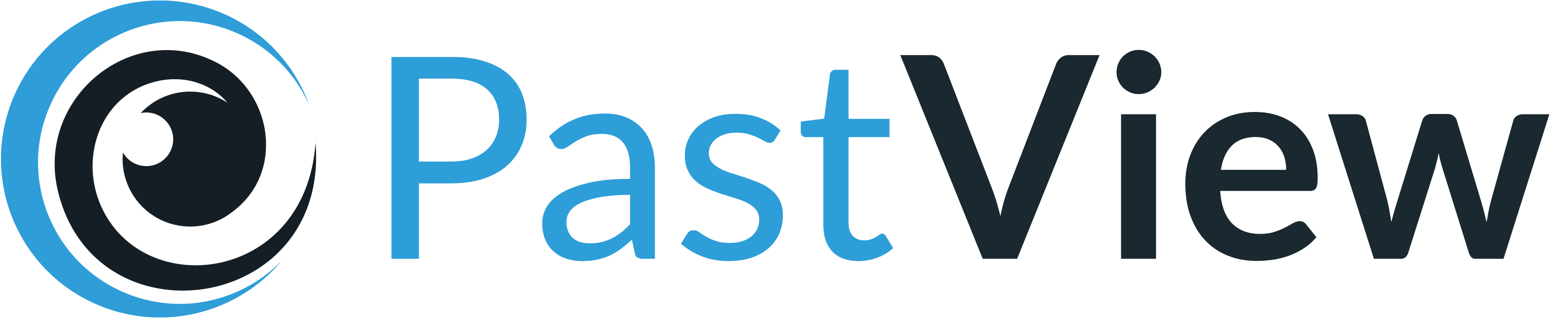 PastView Logo